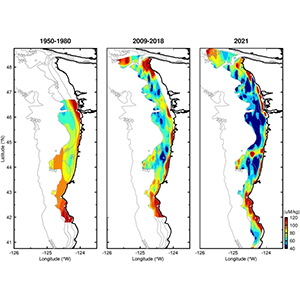 Maps of near-bottom dissolved oxygen over time.