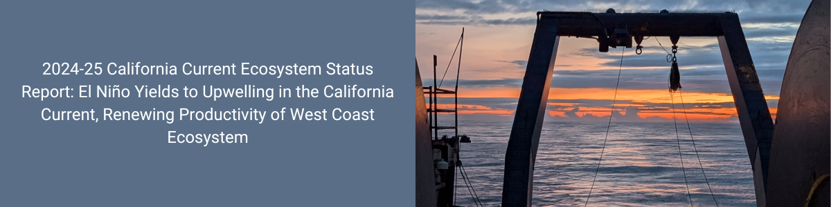 2024-25 California Current Ecosystem Status Report