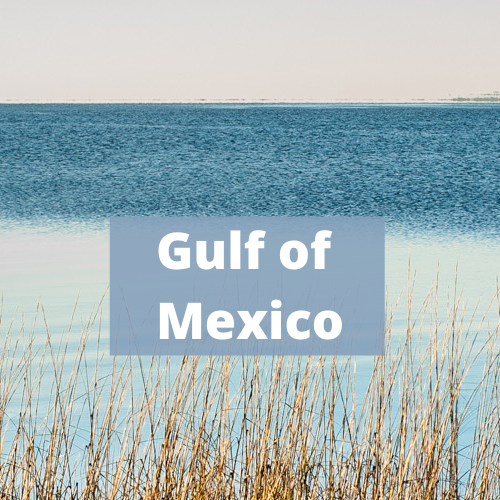 Gulf of Mexico Ecosystem Status Report