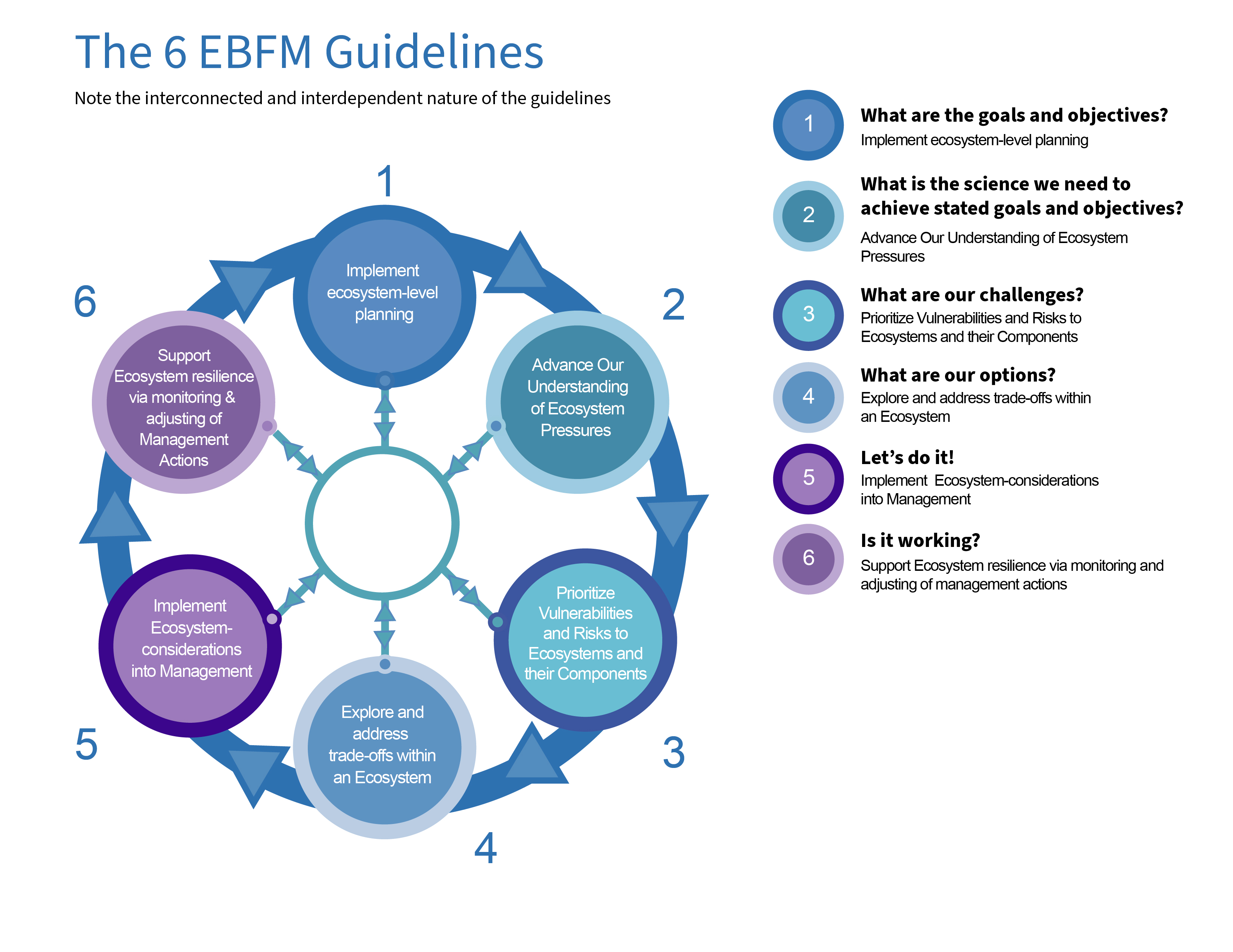 EBFM Guidelines with plain language inset from the EBFM Road Map.