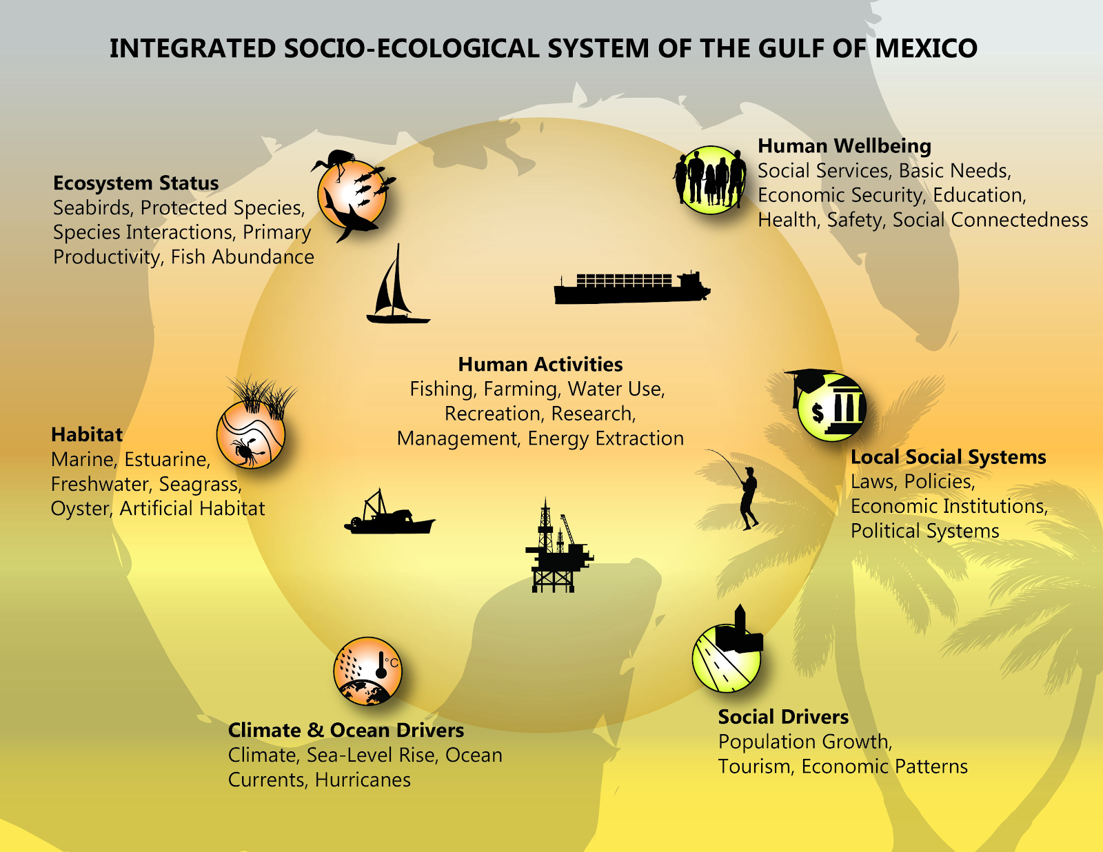 model of GUlf of Mexico ecosystem