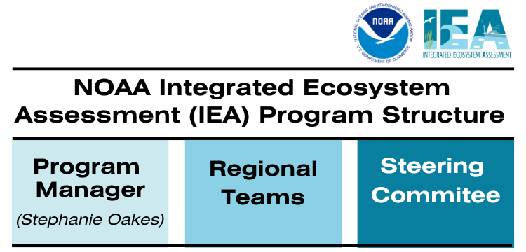 The IEA Program is comprised of the Program Manager, the regional IEA science teams, and the Steering Committee.